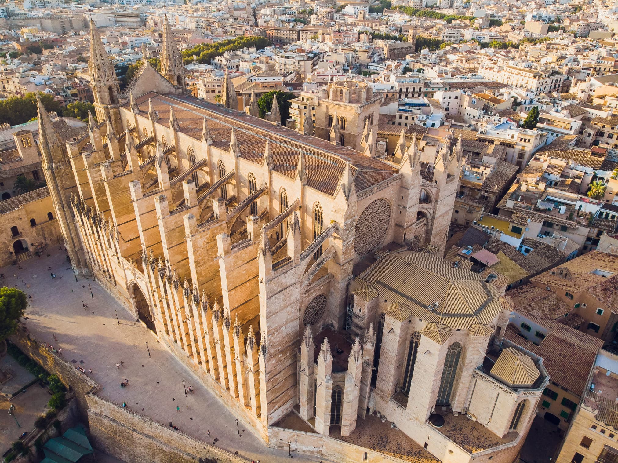 Catedral de Mallorca