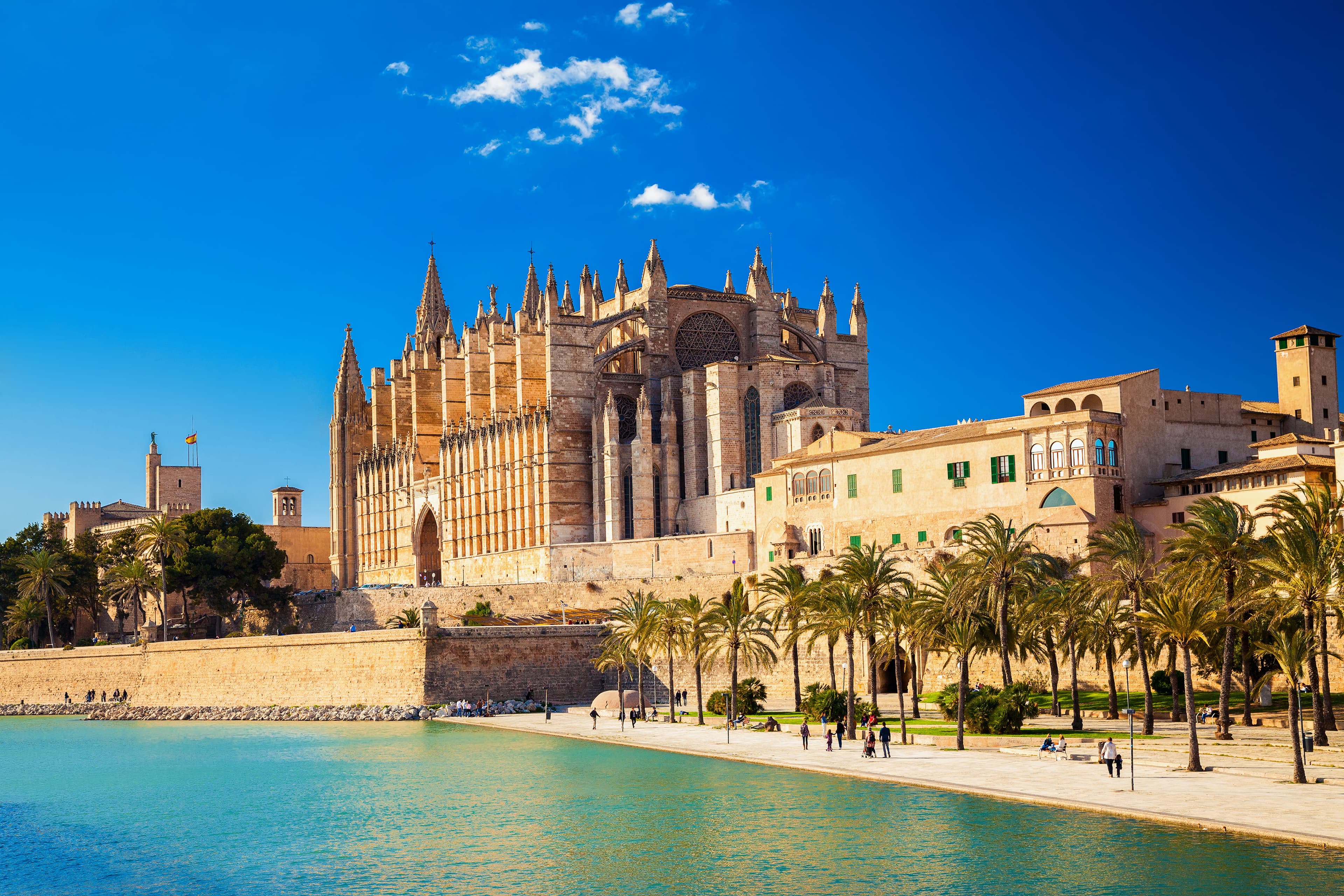 Catedral de Mallorca