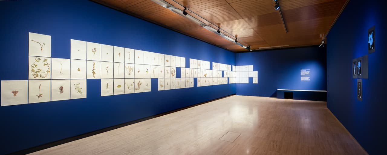 Fundació Sorigué