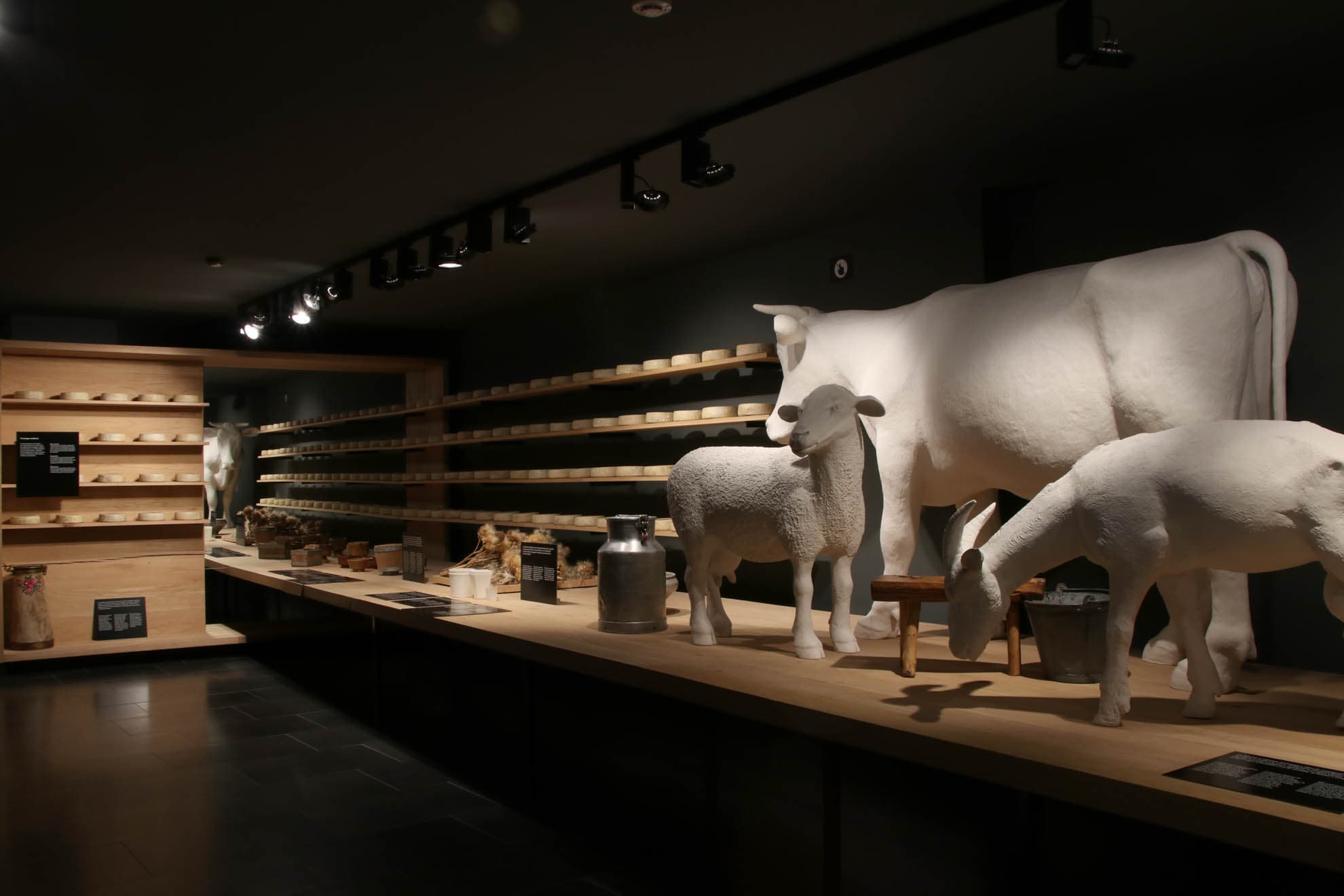Espai Ermengol - Museu de la Ciutat