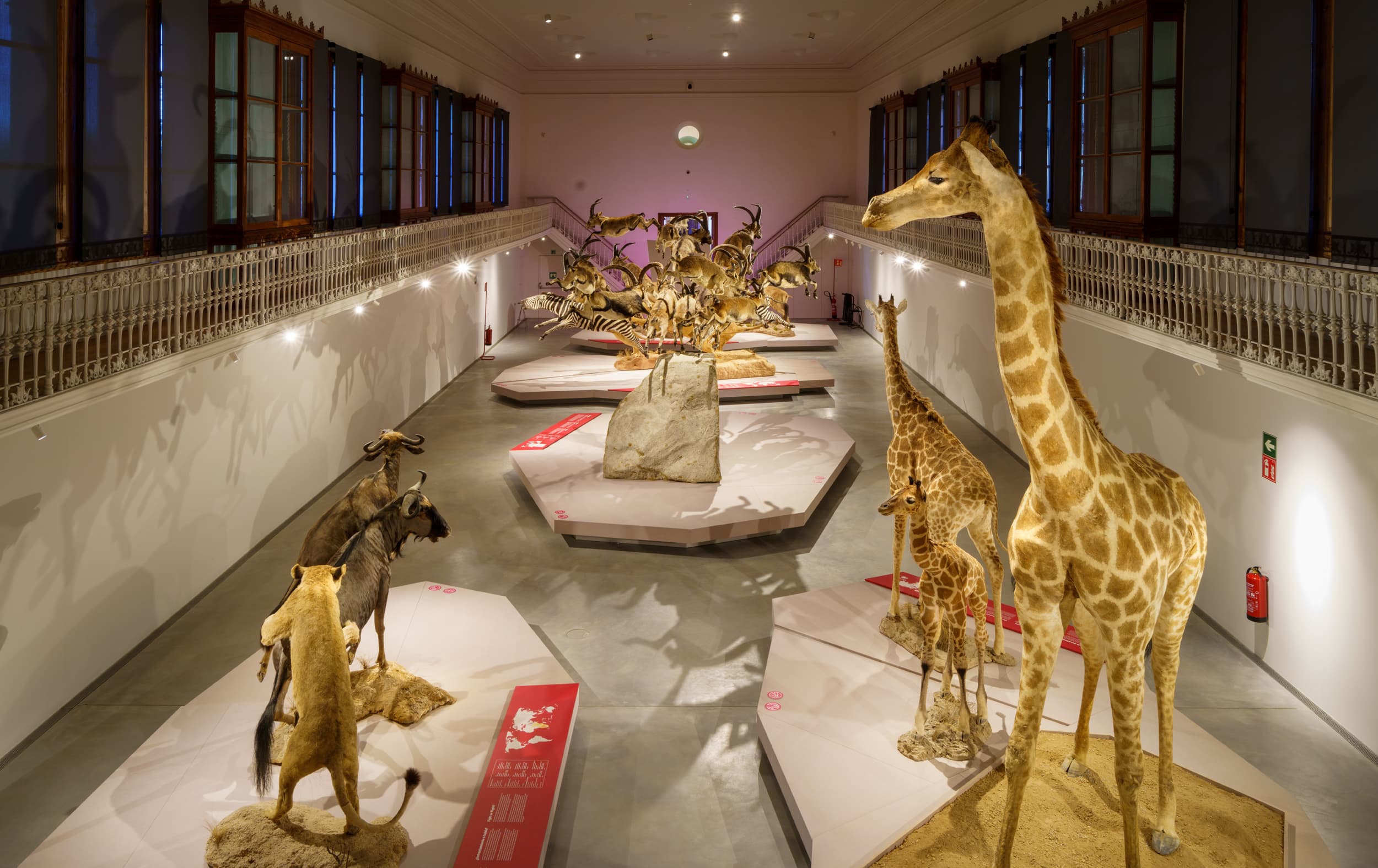 Centro Martorell de Exposiciones