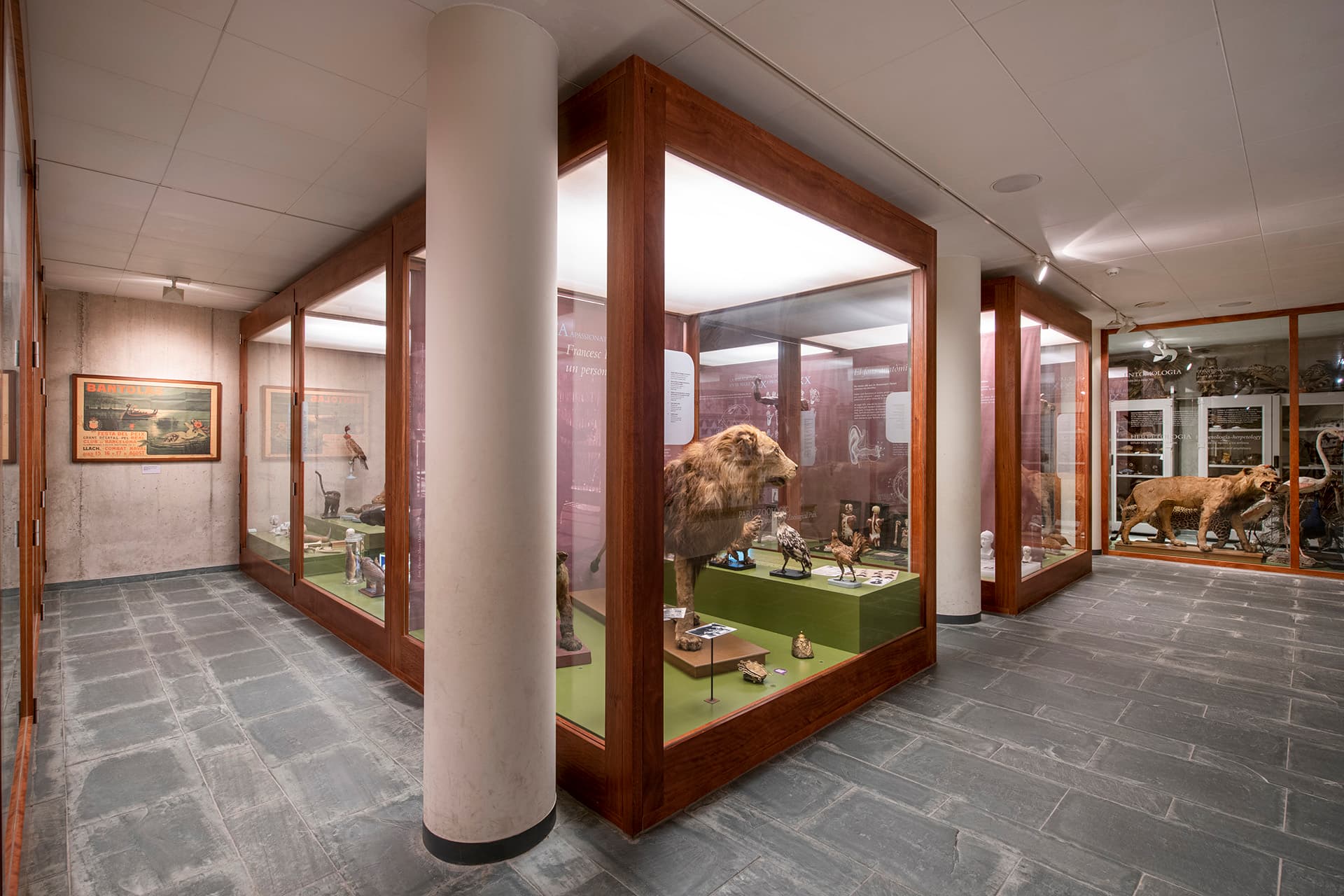 Museu Darder. Espai d’Interpretació de l’Estany (MDEIE)