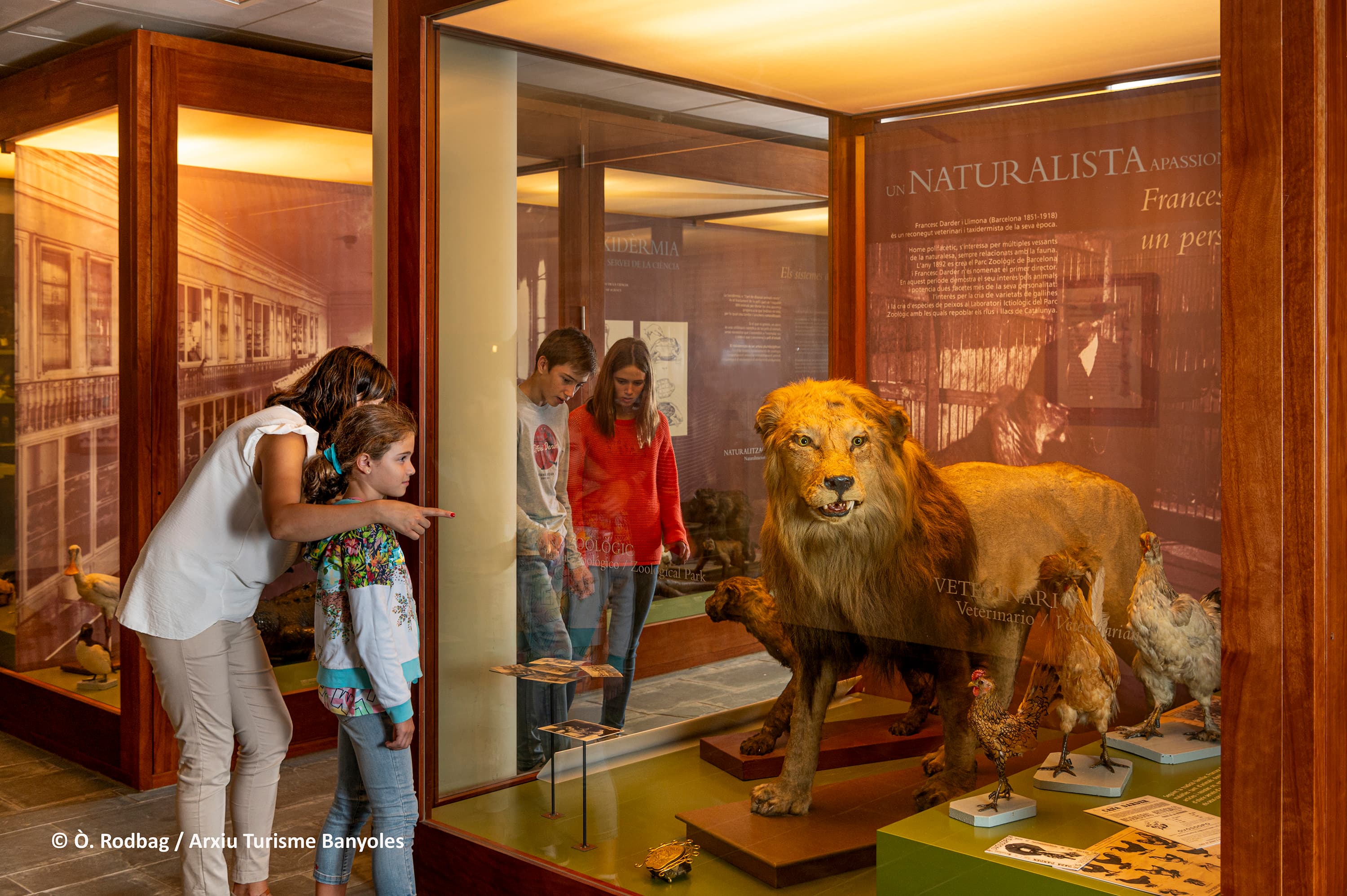 Museu Darder. Espai d’Interpretació de l’Estany (MDEIE)