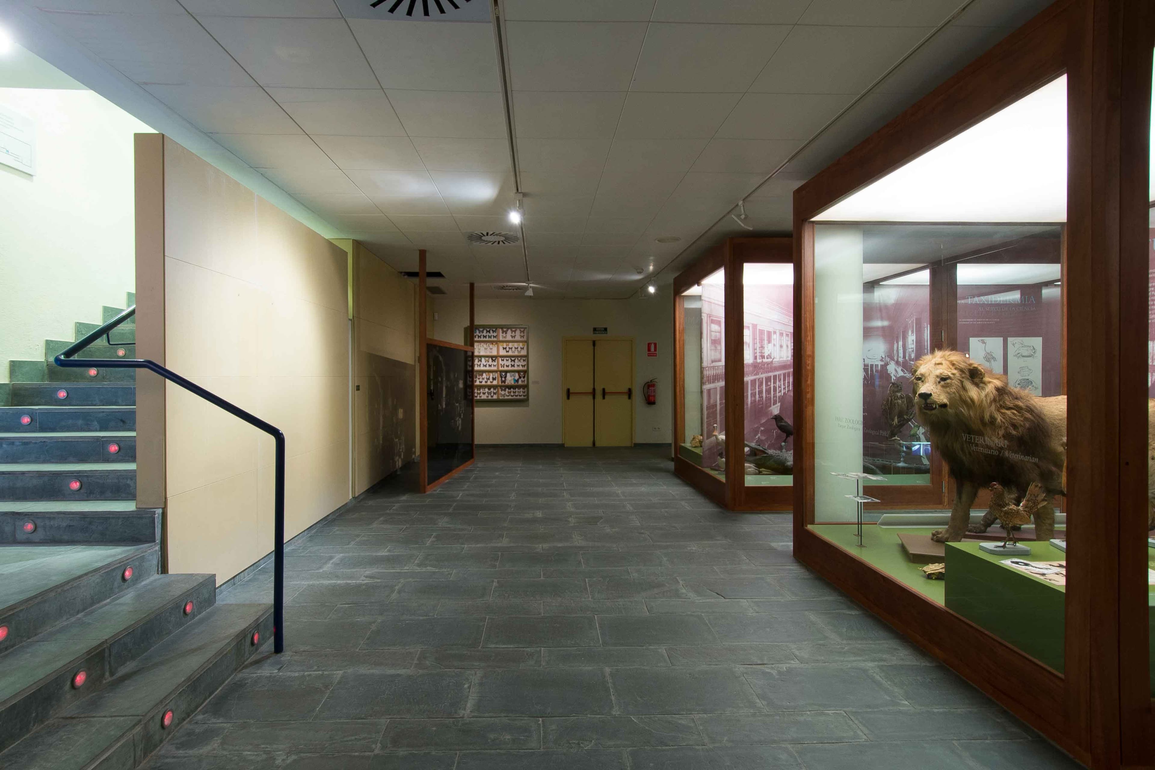Museu Darder. Espai d’Interpretació de l’Estany (MDEIE)