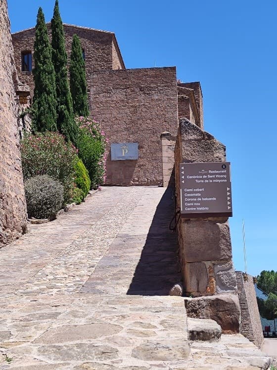 Castell de Cardona
