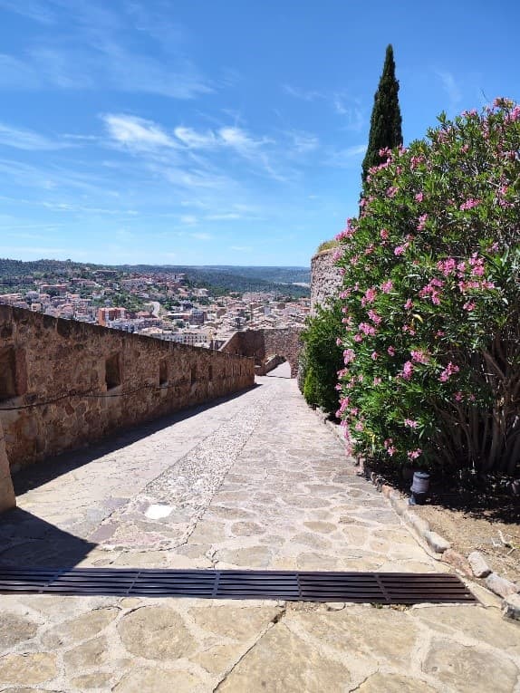 Castell de Cardona