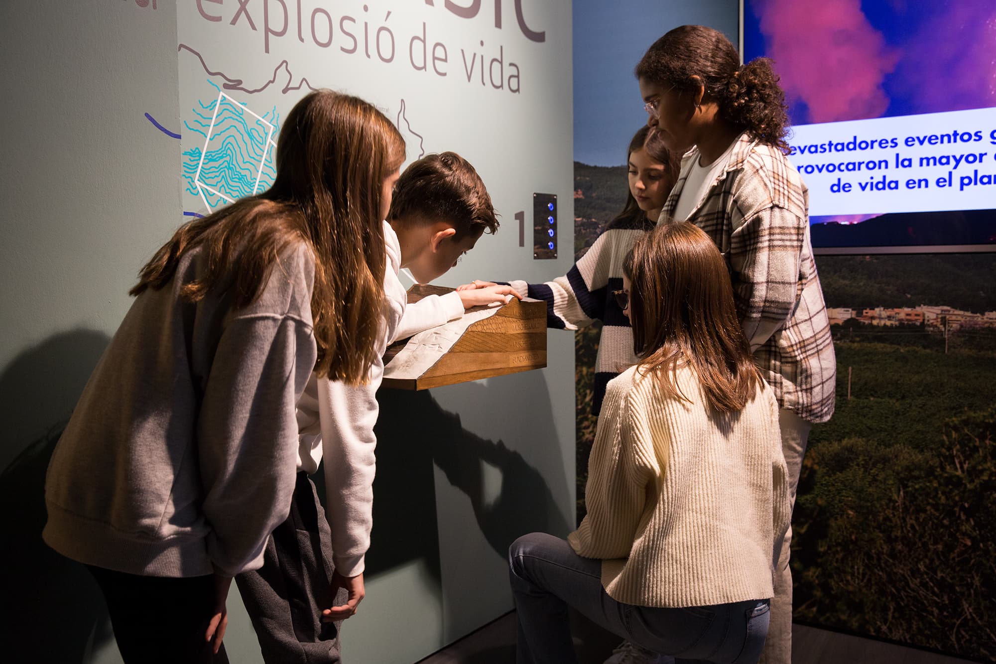 Museu d'Alcover