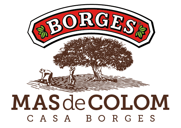 Mas de Colom – Casa Borges