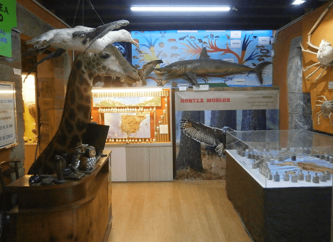 Hontza Museoa
